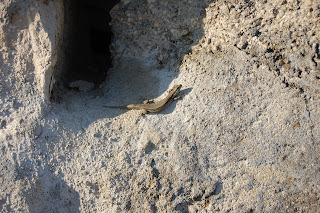 Vereinsreise Waadt 5