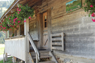 Vereinsreise Waadt 2