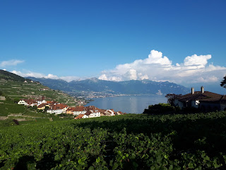 Vereinsreise Waadt 11